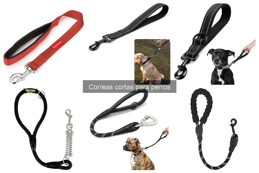 Ventajas y desventajas de las correas cortas para perros