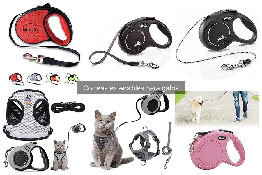 Ventajas y desventajas de las correas extensibles para gatos