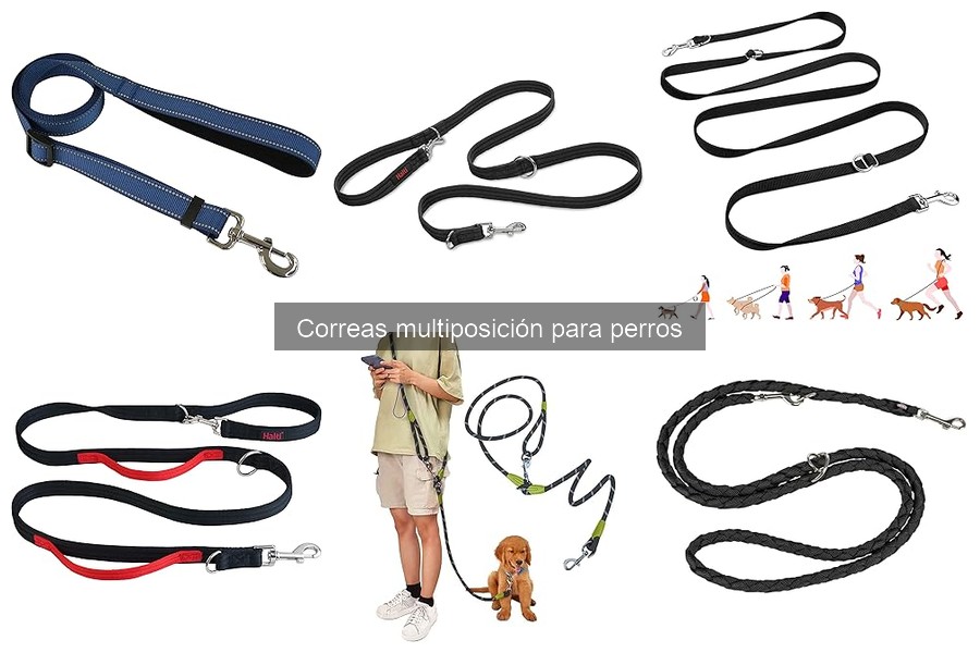 Ventajas y Desventajas de las Correas Multiposición para Perros