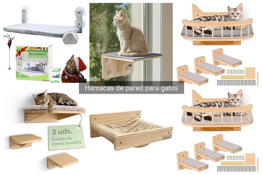 Ventajas y desventajas de las hamacas de pared para gatos