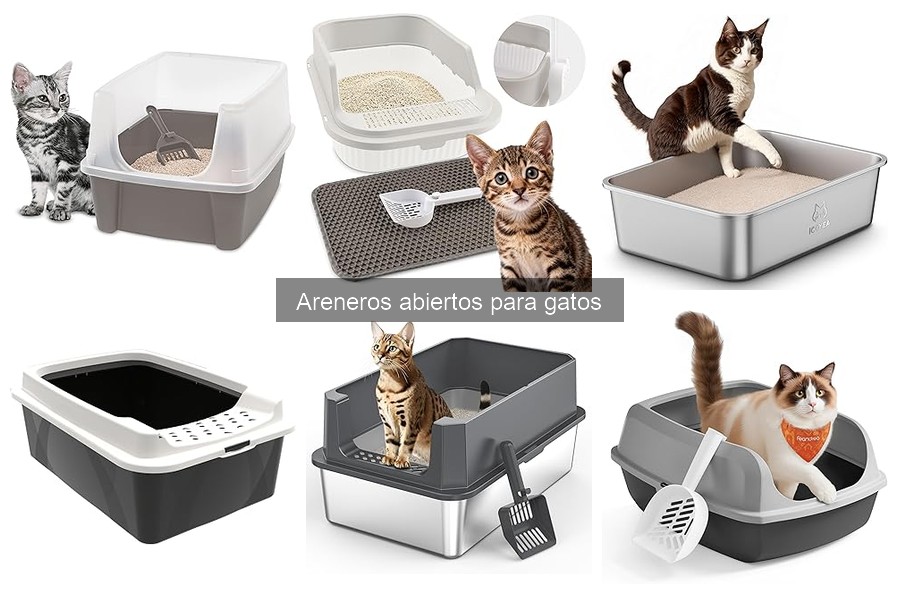 Ventajas y Desventajas de los Areneros Abiertos para Gatos