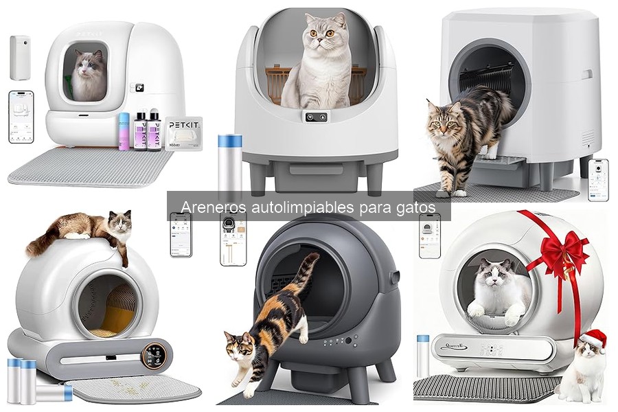 Ventajas y desventajas de los areneros autolimpiables para gatos