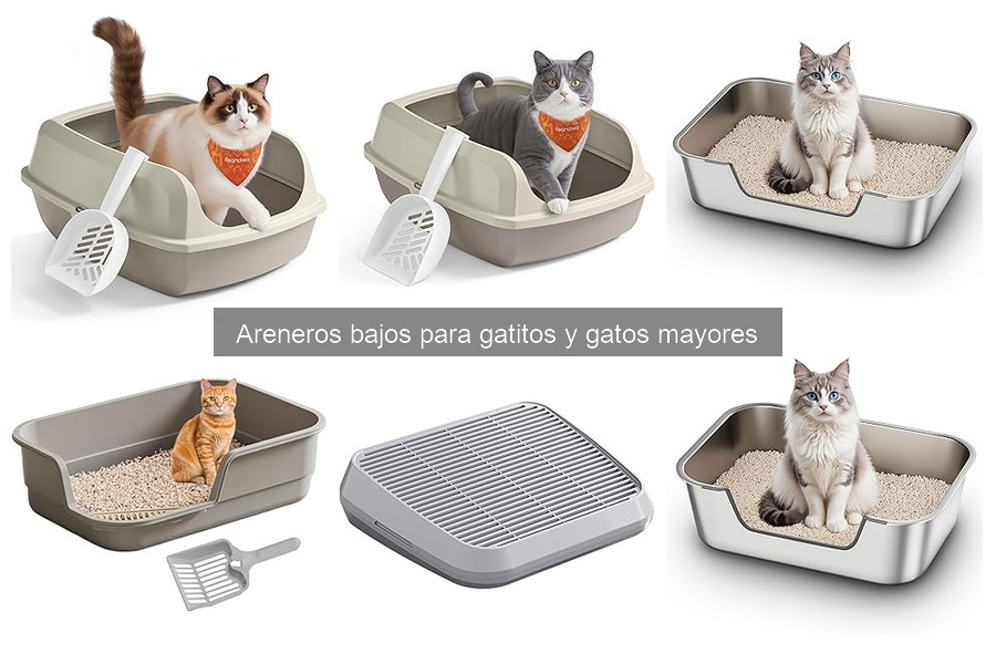 Ventajas y desventajas de los areneros bajos para gatos