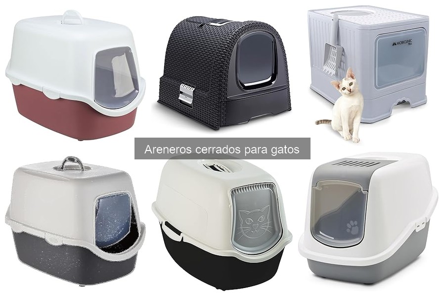 Ventajas y Desventajas de los Areneros Cerrados para Gatos