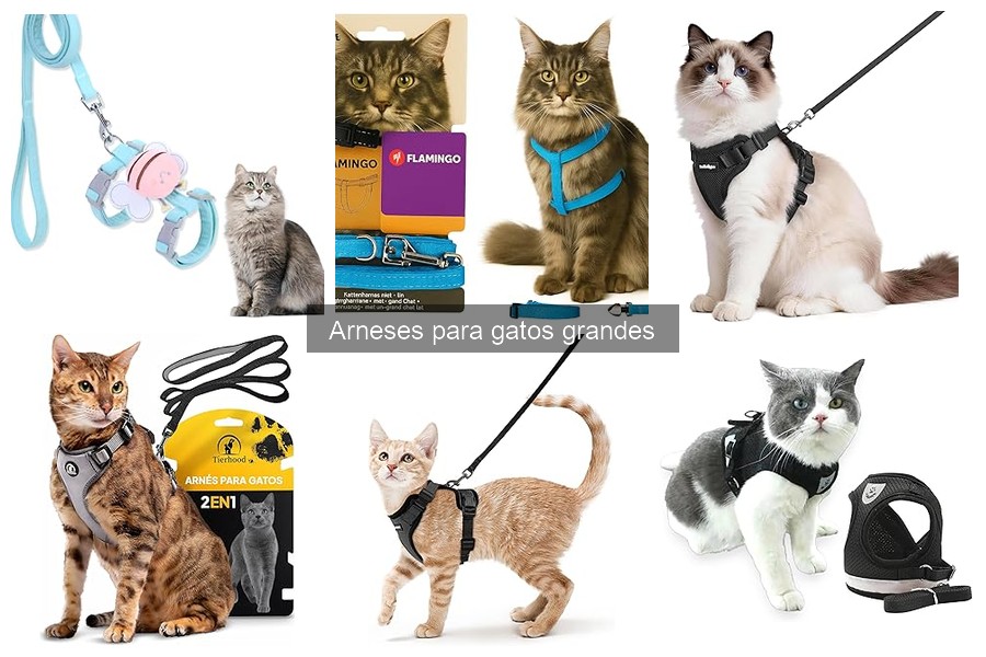 Ventajas y desventajas de los arneses para gatos grandes