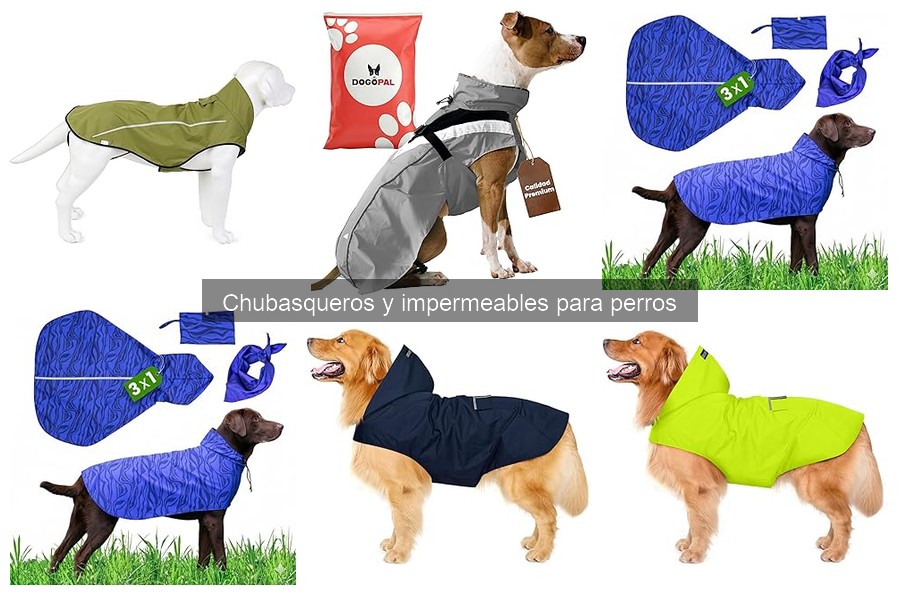 Ventajas y desventajas de los chubasqueros para perros