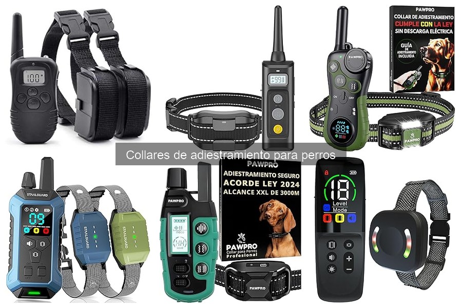 Ventajas y desventajas de los collares de adiestramiento