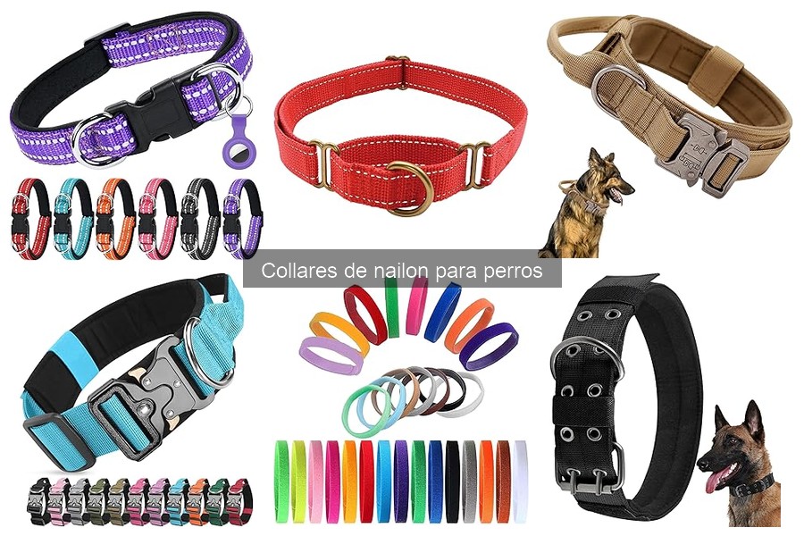 Ventajas y desventajas de los collares de nailon para perros