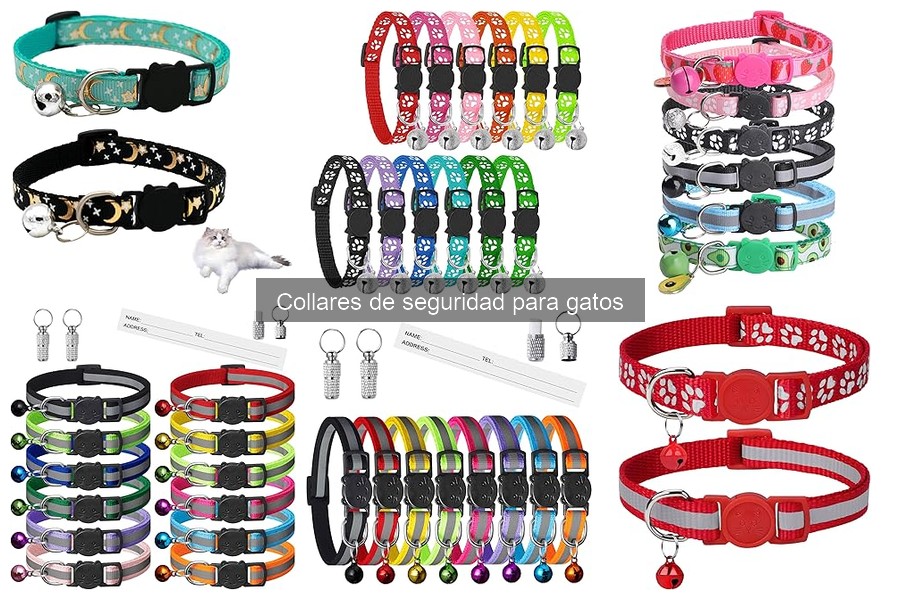 Ventajas y desventajas de los collares de seguridad para gatos
