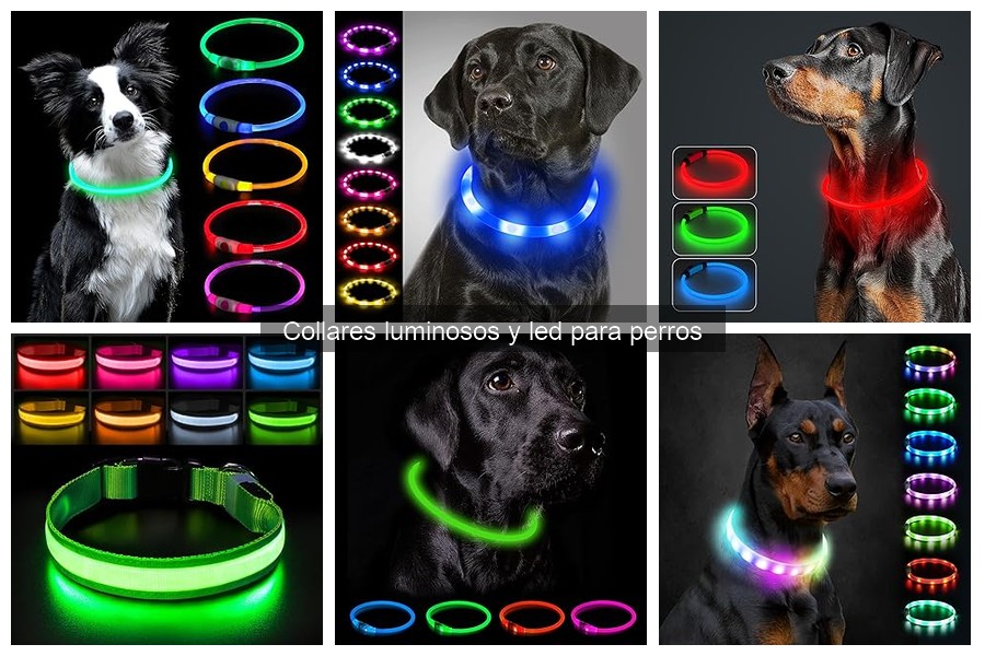 Ventajas y desventajas de los collares luminosos para perros