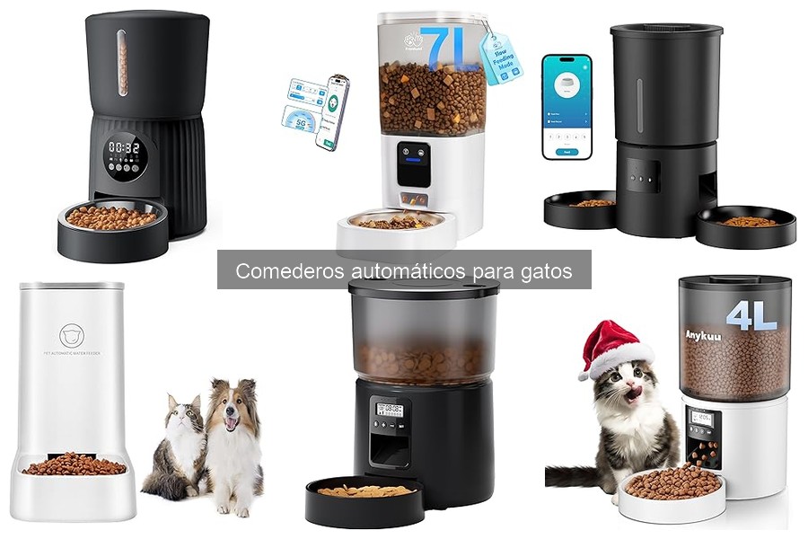 Ventajas y desventajas de los comederos automáticos para gatos
