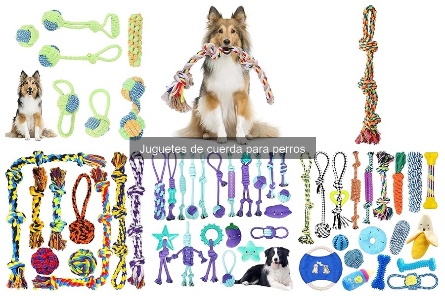 Ventajas y desventajas de los juguetes de cuerda para perros