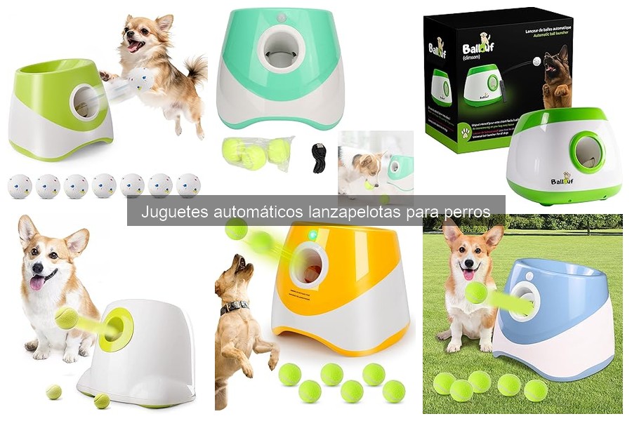 Ventajas y desventajas de los juguetes lanzapelotas automáticos