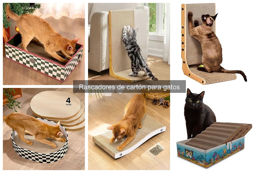 Ventajas y desventajas de los rascadores de cartón para gatos