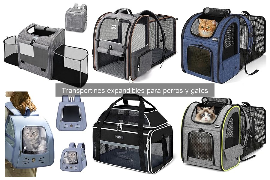Ventajas y desventajas de los transportines expandibles para mascotas
