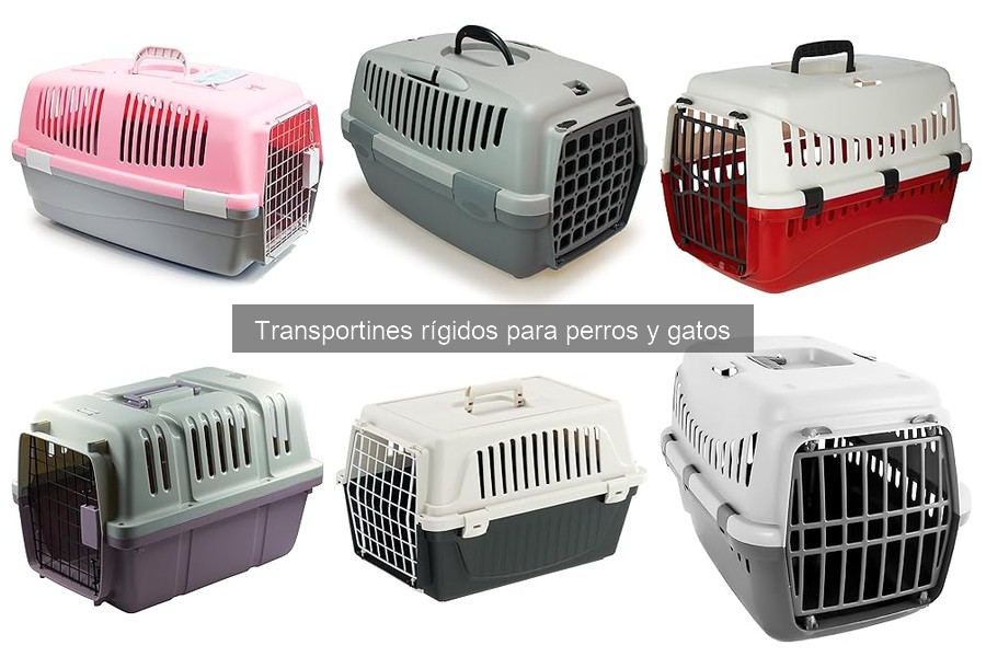 Ventajas y desventajas de los transportines rígidos para mascotas