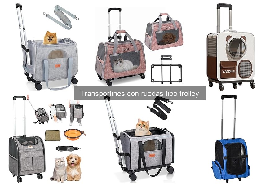 Ventajas y desventajas de los transportines trolley para mascotas