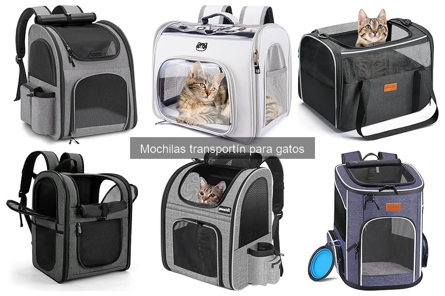 Ventajas y desventajas de mochilas transportín para gatos