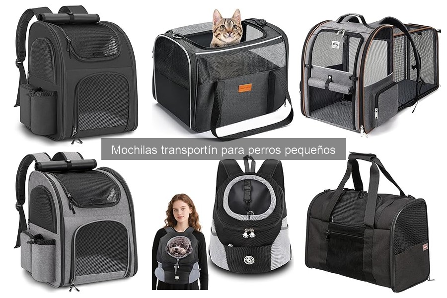 Ventajas y Desventajas de Mochilas Transportín para Perros Pequeños