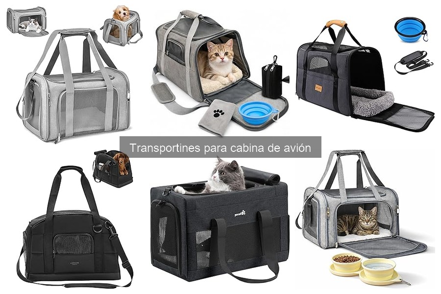 Ventajas y desventajas de transportines blandos y duros para avión
