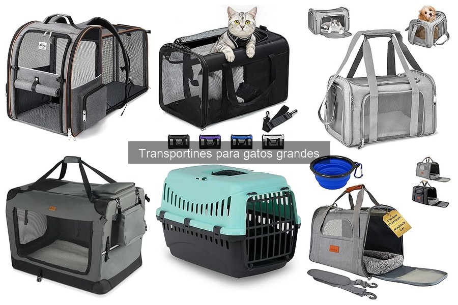 Ventajas y desventajas de transportines para gatos grandes