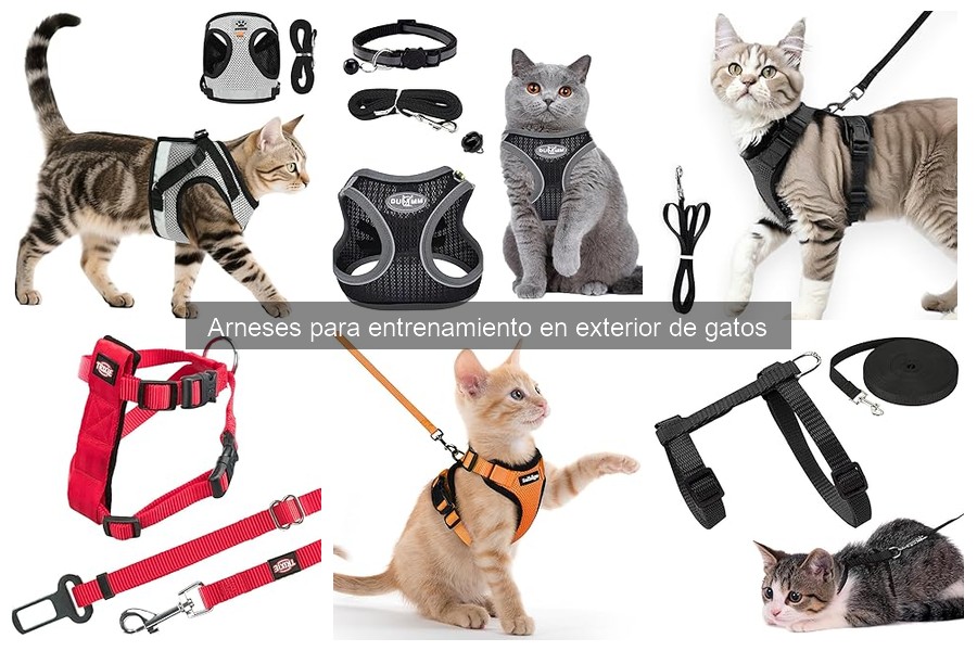Ventajas y Desventajas de Usar Arnés para Gatos