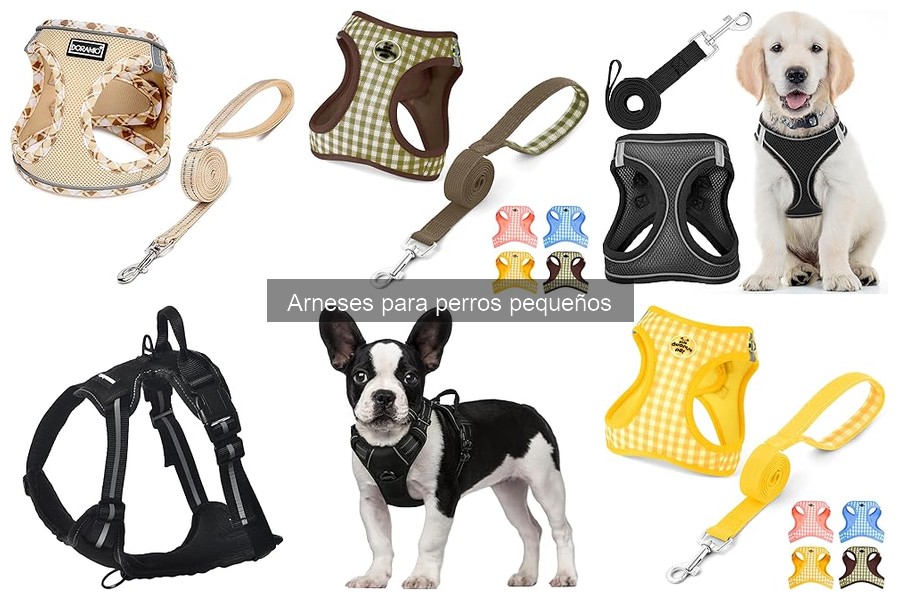 Ventajas y Desventajas de Usar Arnés para Perros Pequeños