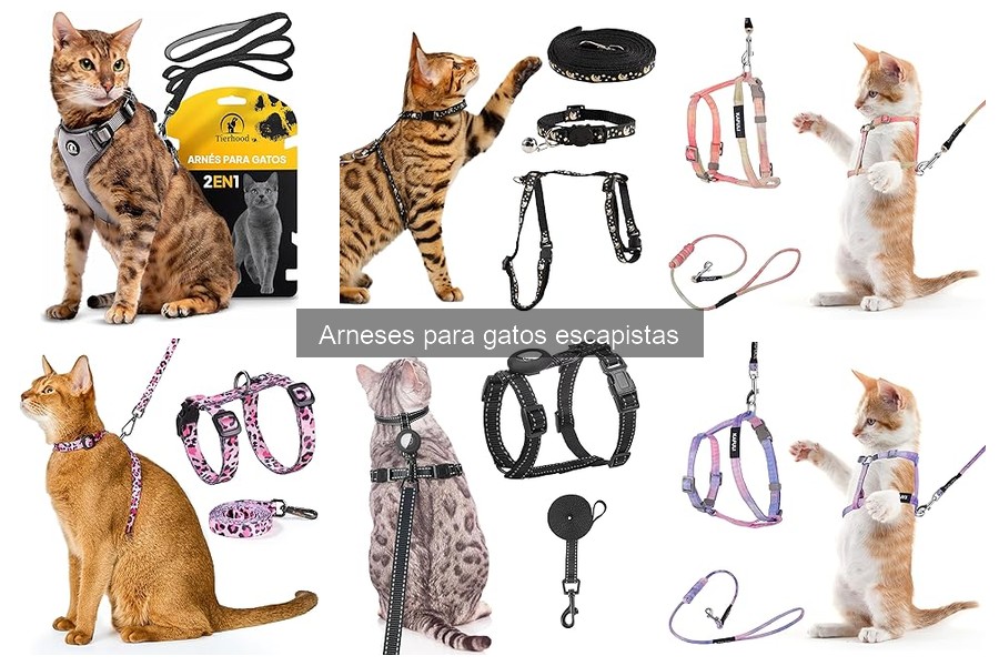Ventajas y desventajas de usar un arnés para gatos