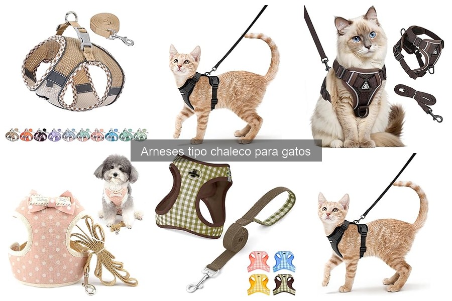 Ventajas y Desventajas del Arnés Tipo Chaleco para Gatos